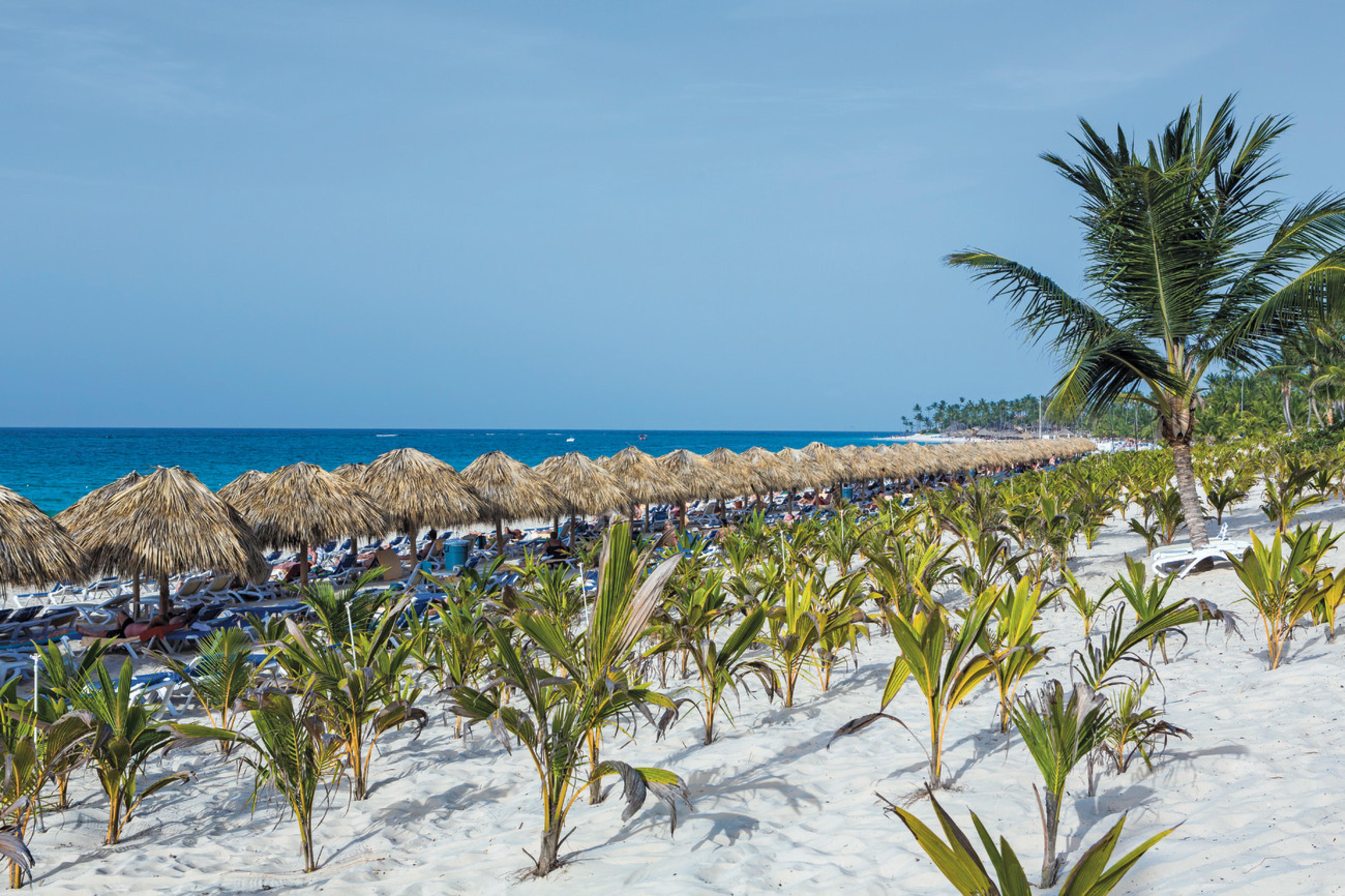 Riu Republica (Adults Only) Hotel Пунта Кана Екстериор снимка